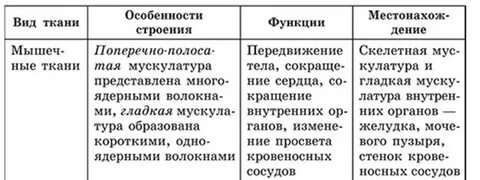 Характеристика мышечной ткани таблица