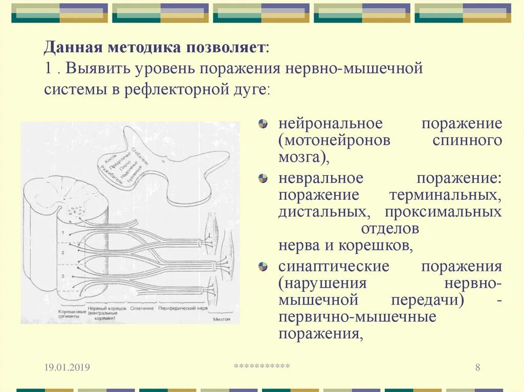 Монитор нервно мышечной передачи. Нейромышечная активация. Нейромышечная активация упражнения. Нейромышечная активация Коган.