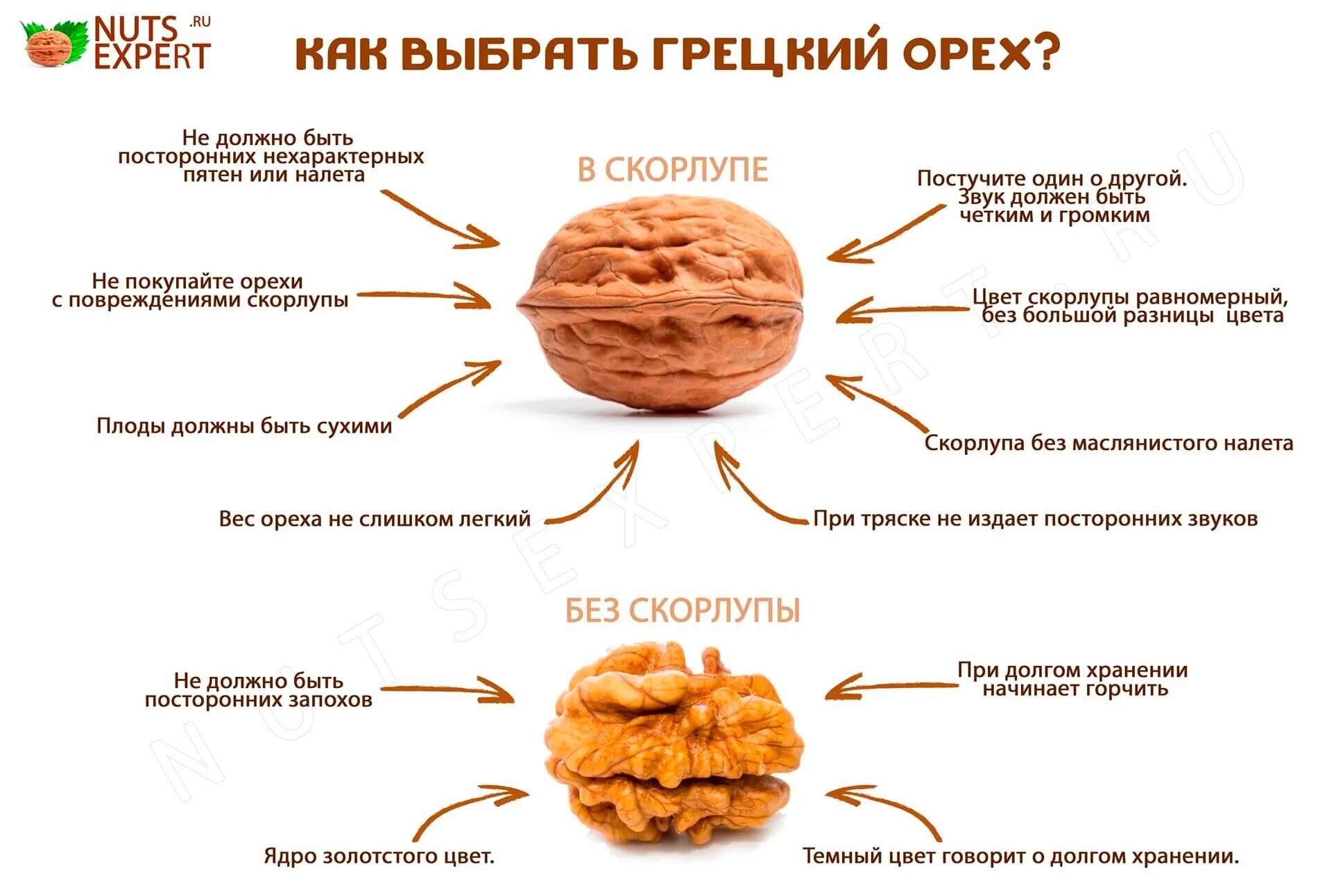 Строение грецких орехов. Вес ядра грецкого ореха. Вес грецкого ореха без скорлупы 1 шт. Вес 1 ядра грецкого ореха.