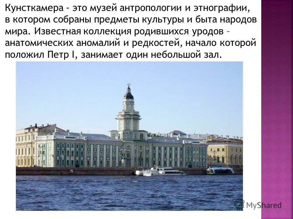 Must-visit with kids ⬇ ️⬇!! On Mothers Central District St. Petersburg view , thi