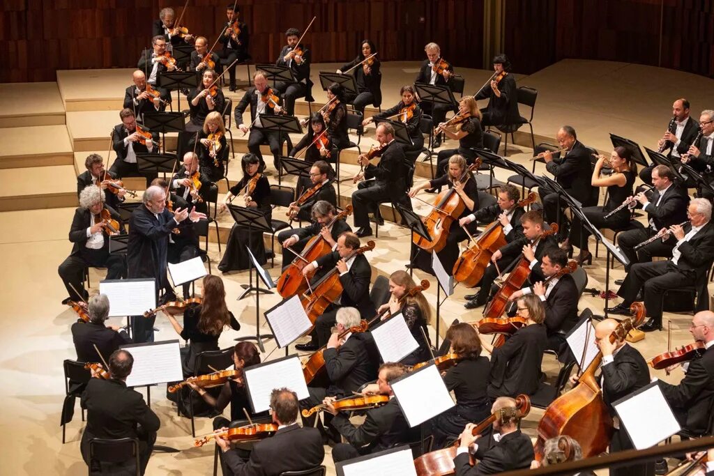 Orchestra. Оркестр мира Гергиев. Камерный симфонический оркестр Казани. Солистка симфонического оркестра Мирзаханова. Всемирный детский симфонический оркестр дирижёр Леонид Николаев.