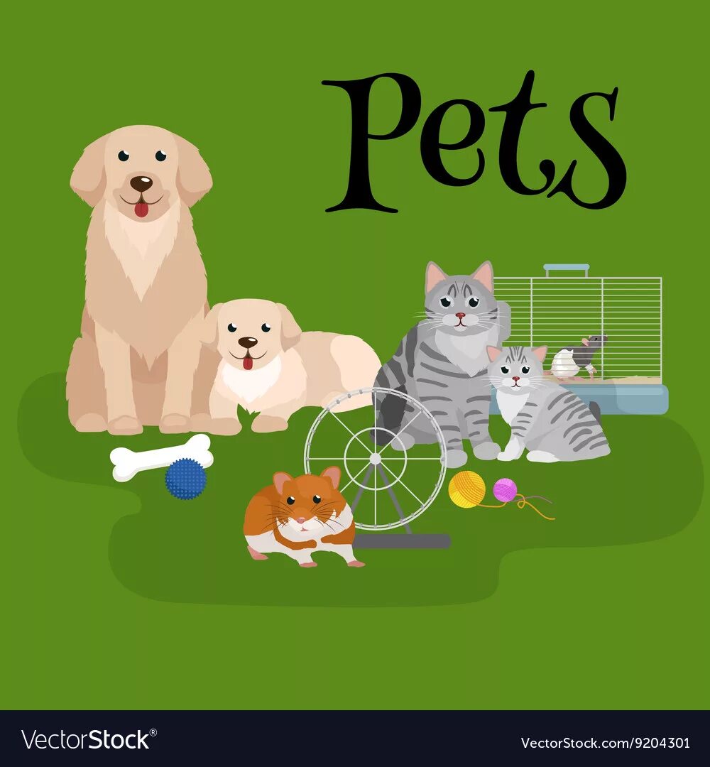 Pet setting. Собака кошка хомяк. Домашние животные кошки собаки рыбки. Животные собаки кошки хомяки рыбки. Собака кошка попугай хомяк рыбка.