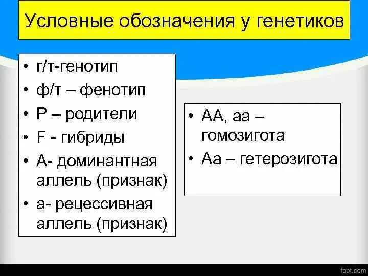 Фенотип как обозначается. Гетерозигота обозначение. Гомозигота и гетерозигота это. Гомозигота это кратко.