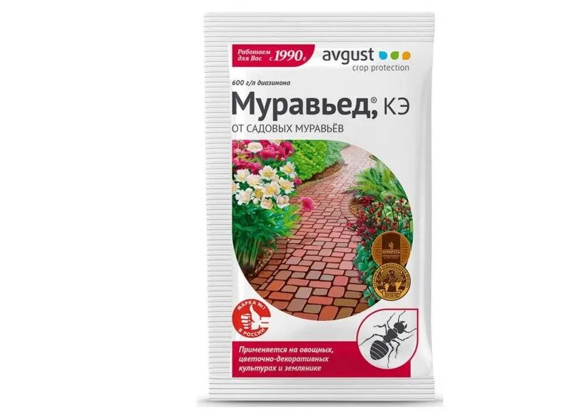 Муравьи как разбавить. Муравьи как разбавить