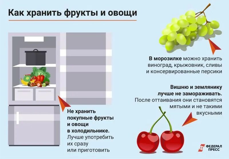 Как сохранить собранную. Правильное хранение овощей и фруктов. Холодильник для хранения овощей и фруктов. Хранить овощи в холодильнике. Правило хранения фруктов и овощей.