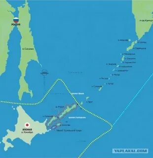 Курильские острова сформировались в зоне
