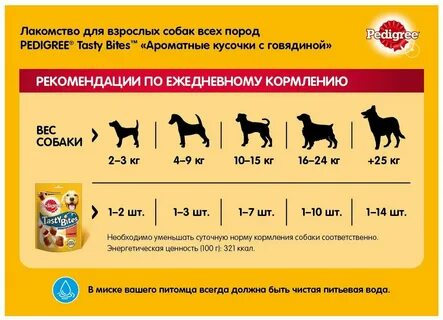 Каким кормом можно кормить собак