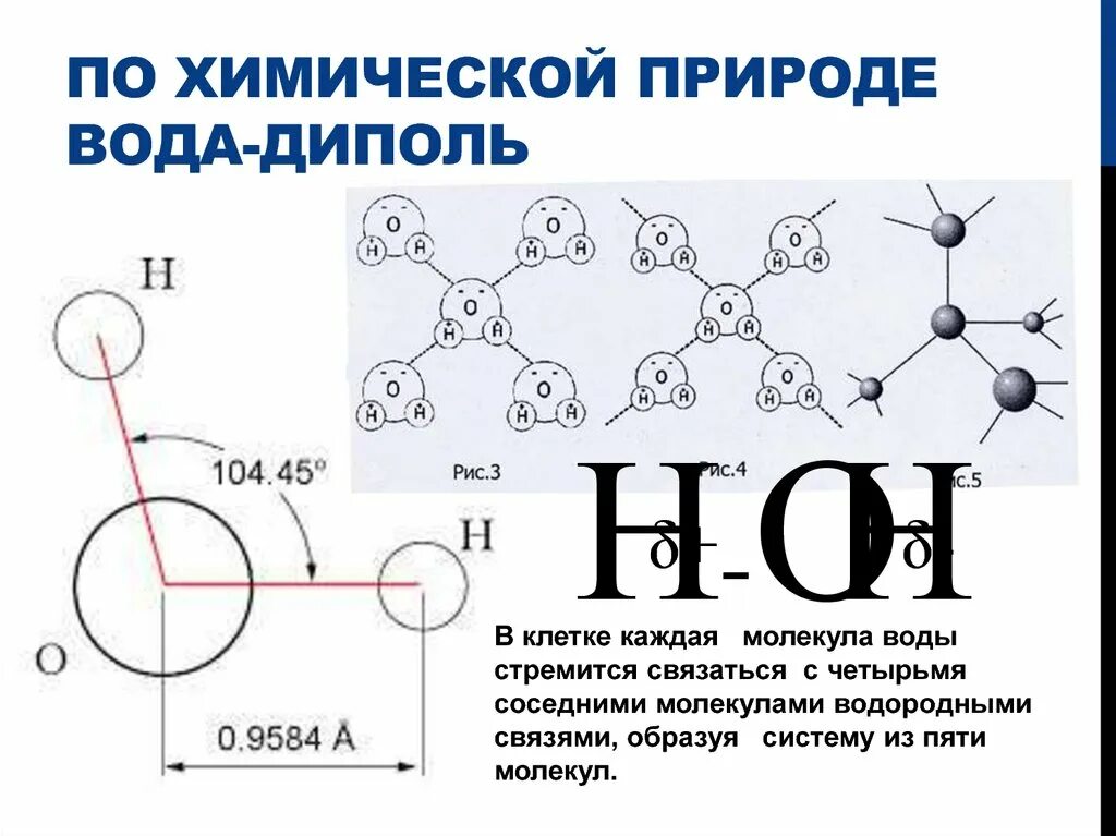 Строение и полярность молекул. Строение и полярность молекул