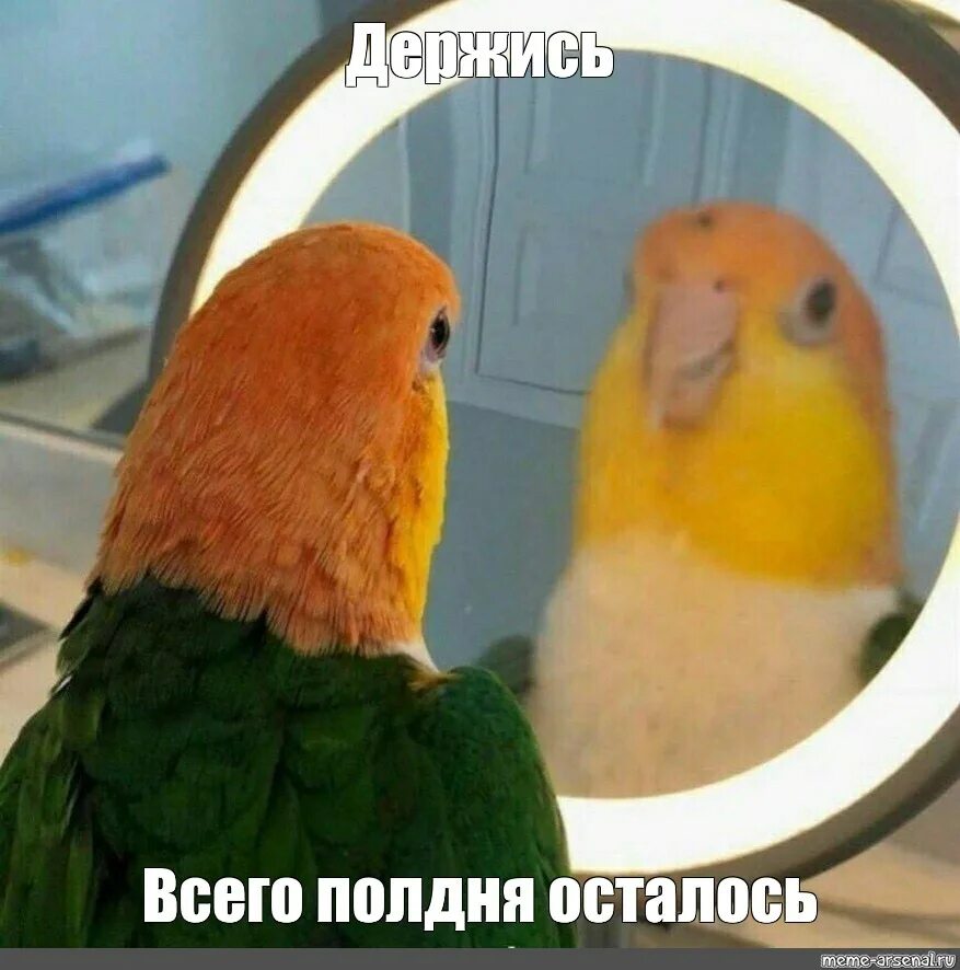 Осталось полдня. Осталось полдня. Осталось немного подождать. Скоро в отпуск. Осталось четыре дня до отпуска.