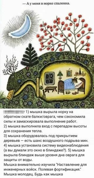 Проект по окружающему миру домик мышки Дом мышки