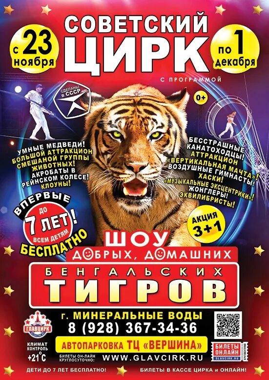 Цирк бенгальские тигры. Цирк Элиста. Цирк про бенгальских тигров. Цирк Минеральные воды. Цирк в Элисте афиша.