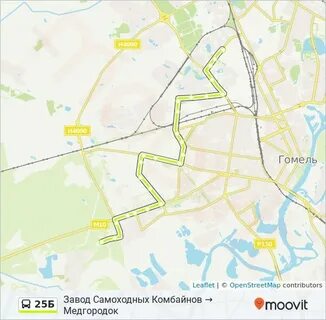 Доехать до гомеля