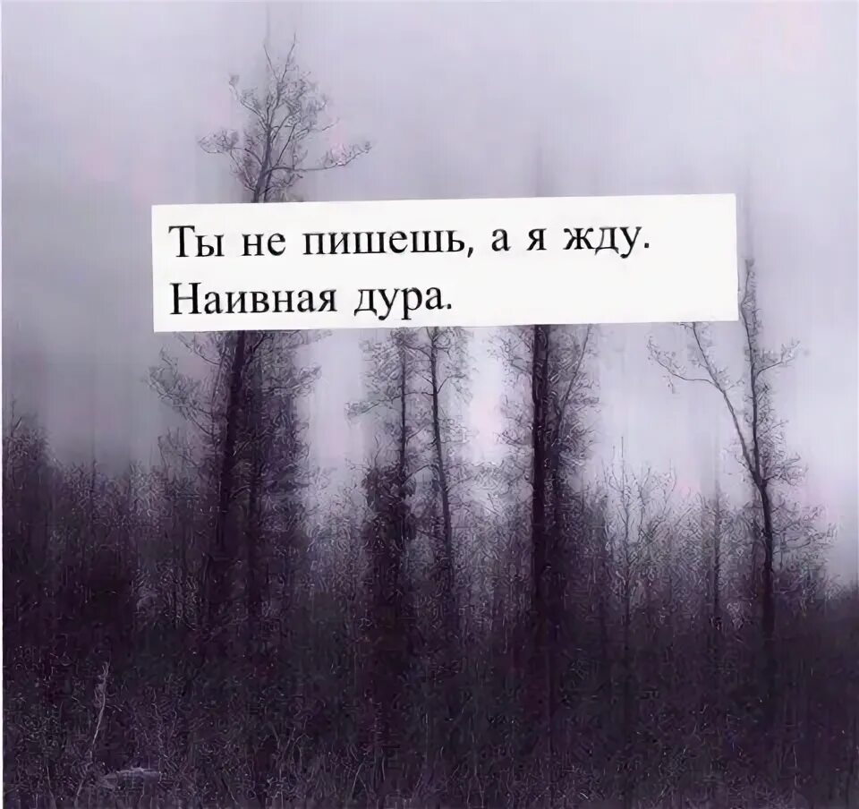 Ничего просто ждать. Напиши мне цитаты. Жду когда ты напишешь. Наивная цитаты. Это я жду когда ты мне напишешь.