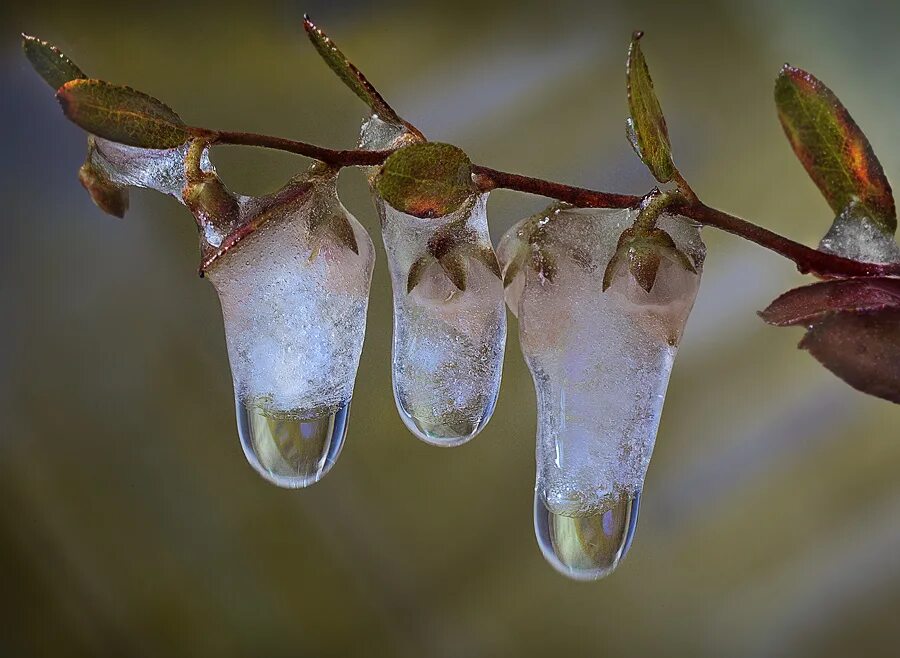 весенняя капель. каплет это. весенняя капель. каплет это. капли воды на поверхности.