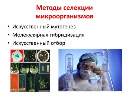 Новые методы микроорганизмов