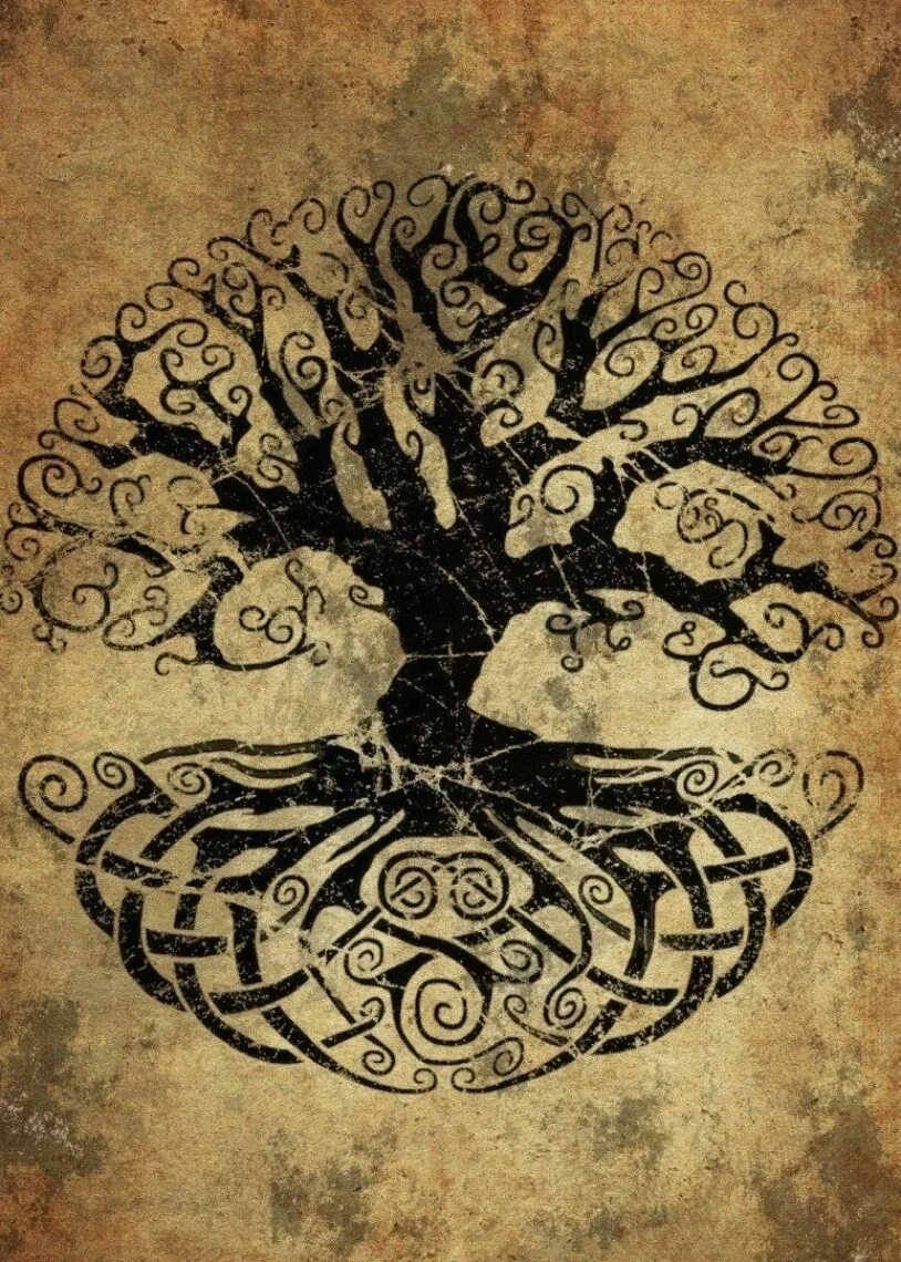 Кельтское дерево иггдрасиль. Иггдрасиль мировое древо. Ясень иггдрасиль. Дерево иггдрасиль. Ясень иггдрасиль мировое дерево.