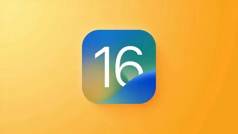 16 6