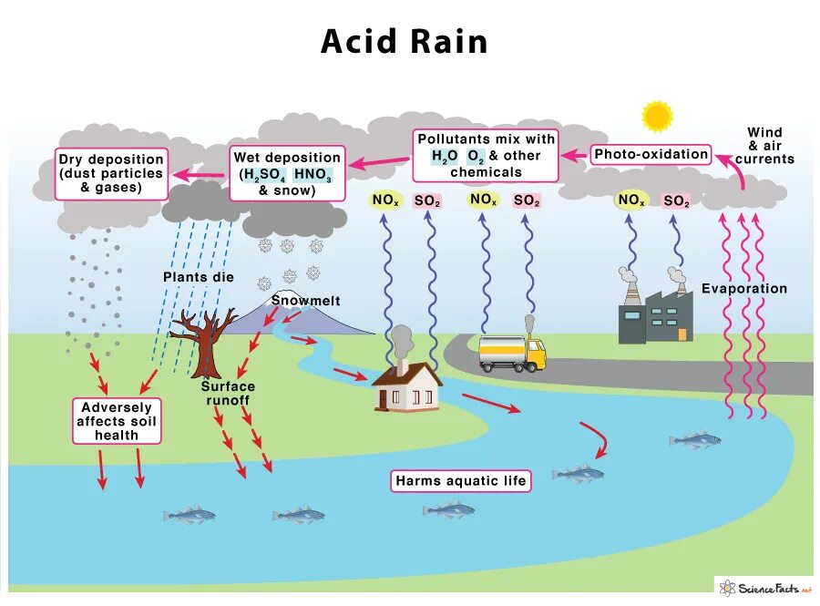 Английский 7 класс стр 77 acid rain. Acid Rain. Кислотные дожди. Acid Rain Effects. Acid Rain фото.