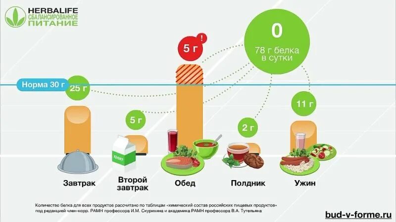 Как набрать норму белков. Правильный завтрак Гербалайф схема. Сбалансированный завтрак. Схема питания по гербалайфу. Нормы белка в питании.