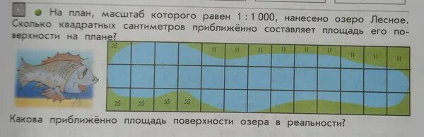 Сколько квадратных километров составляют. 1 1000 Масштаб на плане которого. Площадь озера. Найти площадь озера. Масштаб 1:1000 равен?.