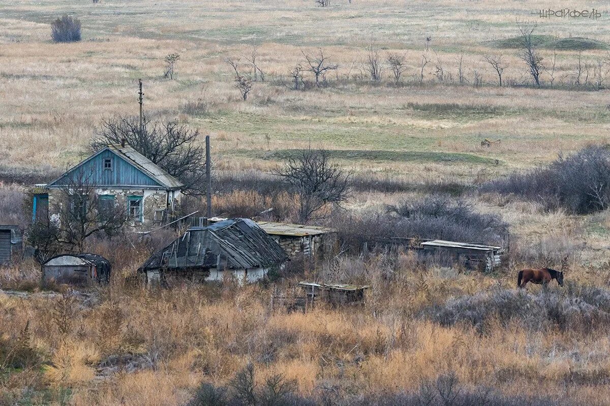 Сибиряки на хуторе. Хутор Караичев Каменского района Ростовской области. Хутор белгородцев Каменский район. Хутор Данилов Каменского района. Хутор Юров Каменского района.