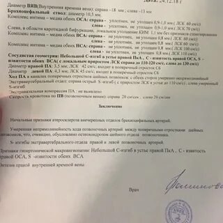 Артерии заключение
