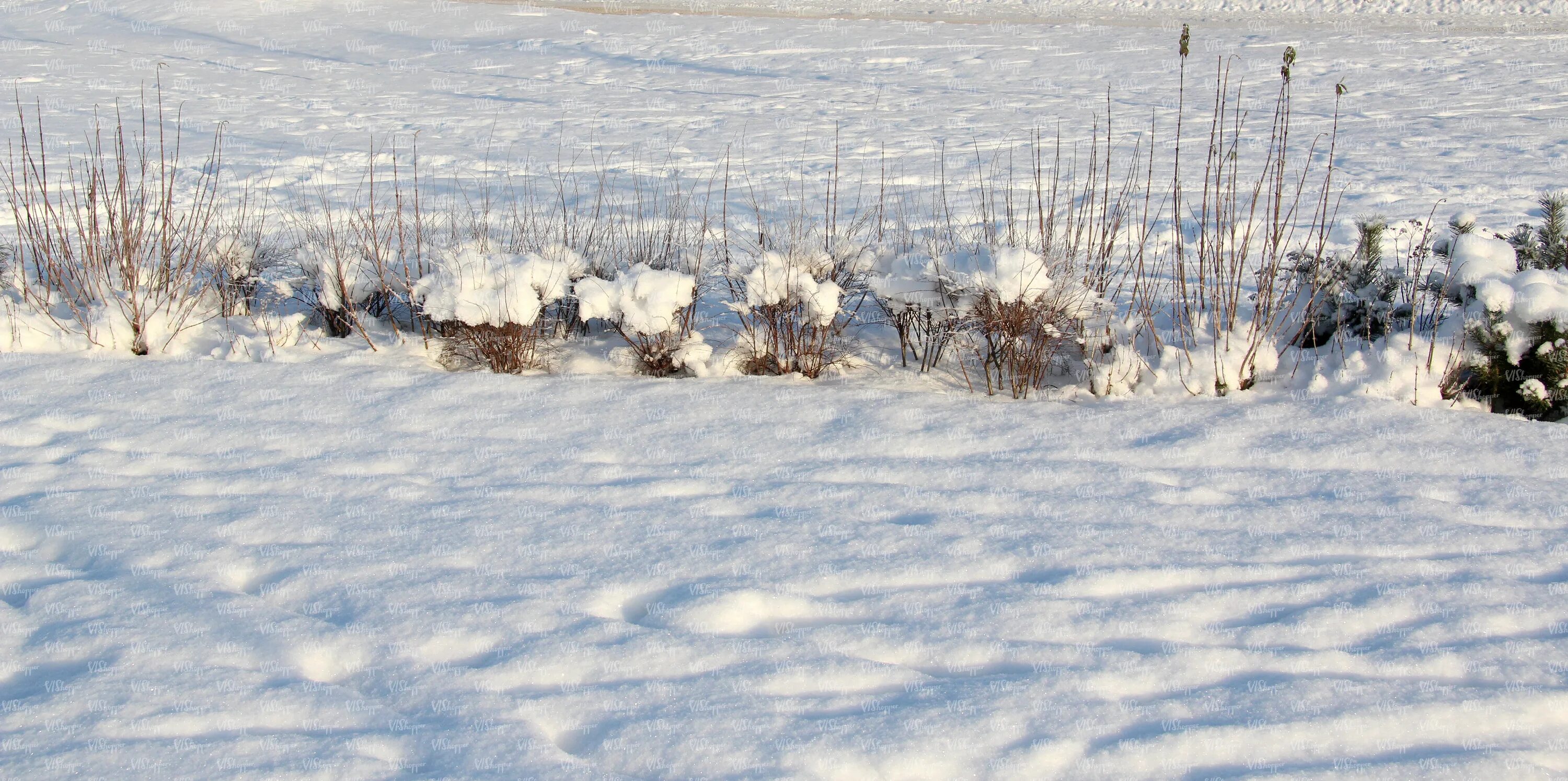 Snow coverage. Snow coverage