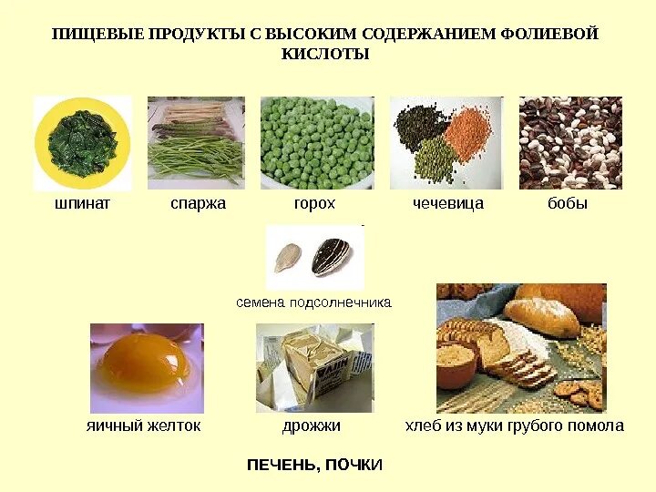 Продукты с фолиевой кислотой. Продукты богатые фолиевой кислотой. Фолиевая кислота в пищевых продуктах. Фолиевая кислота продукты с высоким содержанием.