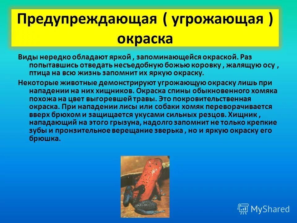 Животные с предостерегающей окраской. Предотвращение угроз. Угроза и предупреждение разница. Инженерные средства физической защиты. Факторы, угрожающие личной безопасности:.