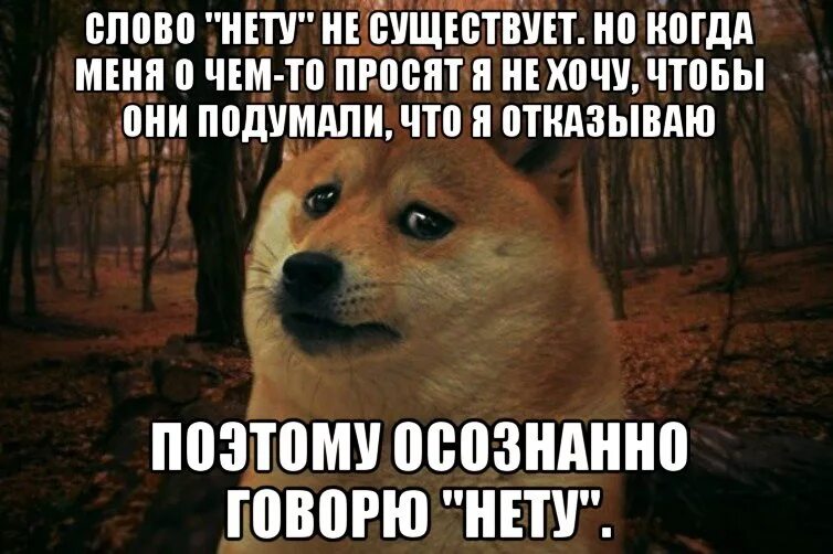 Есть и нет. Нету есть такое слово в русском языке. нету в русском языке слова нету. нету мем. есть ли слово нету.