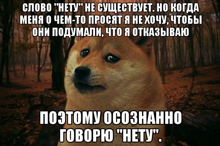 Заканчиваться повторять. Не тот. Есть слово нету. Нет такого слова нету в русском языке. Есть ли слово нету в русском языке.