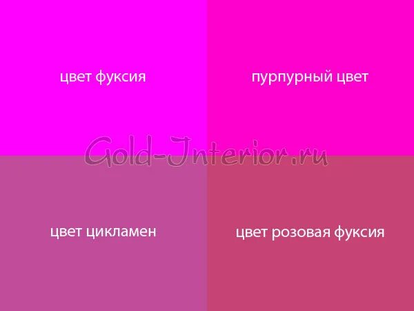 Как отличить розовый. Цикламен и фуксия цвета различия. Цвет фуксии. Цикламеновый цвет и фуксия. Фуксия цвет оттенки.