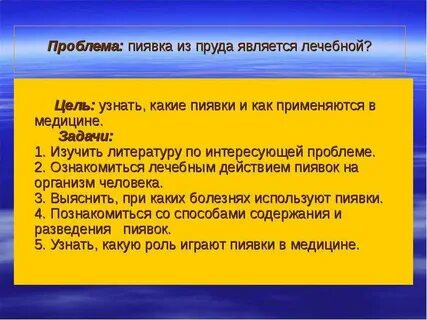 Интересующие проблемы