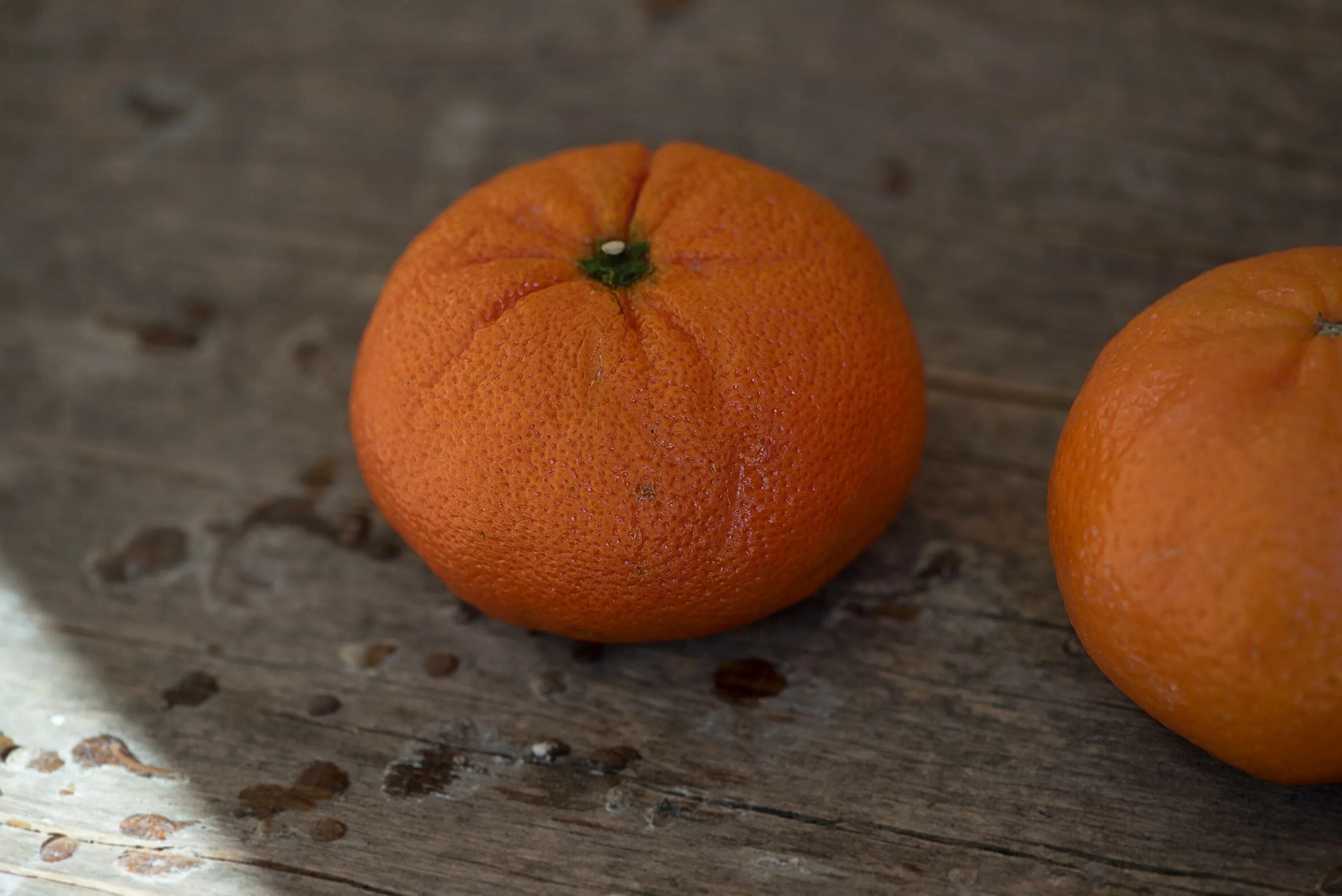 Two oranges. Плод мандарина. Мандарины ЮАР. Плоские мандарины. Апельсин и мандарин.