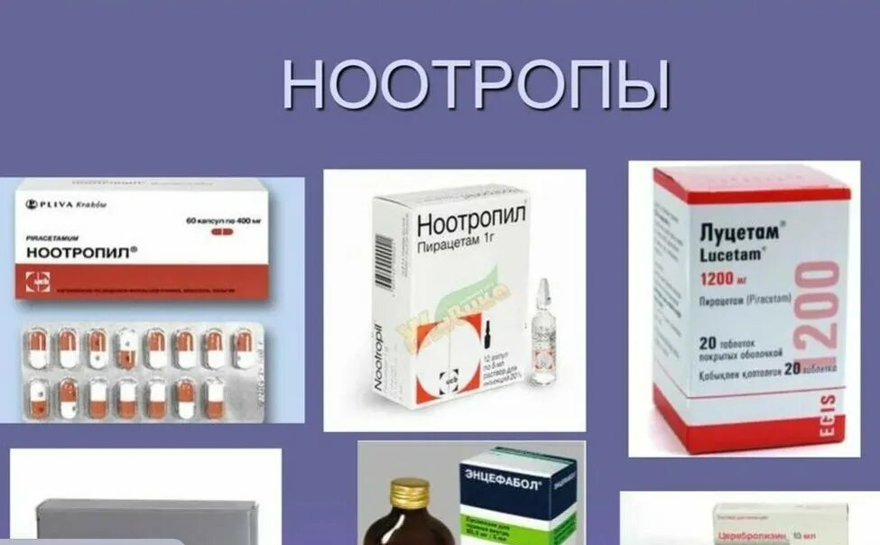 Ноотропные препараты для головного мозга отзывы. Ноотропы препараты. Ноотропные лекарственные средства. Гематропные препараты. Ноотропные препараты для головного мозга.