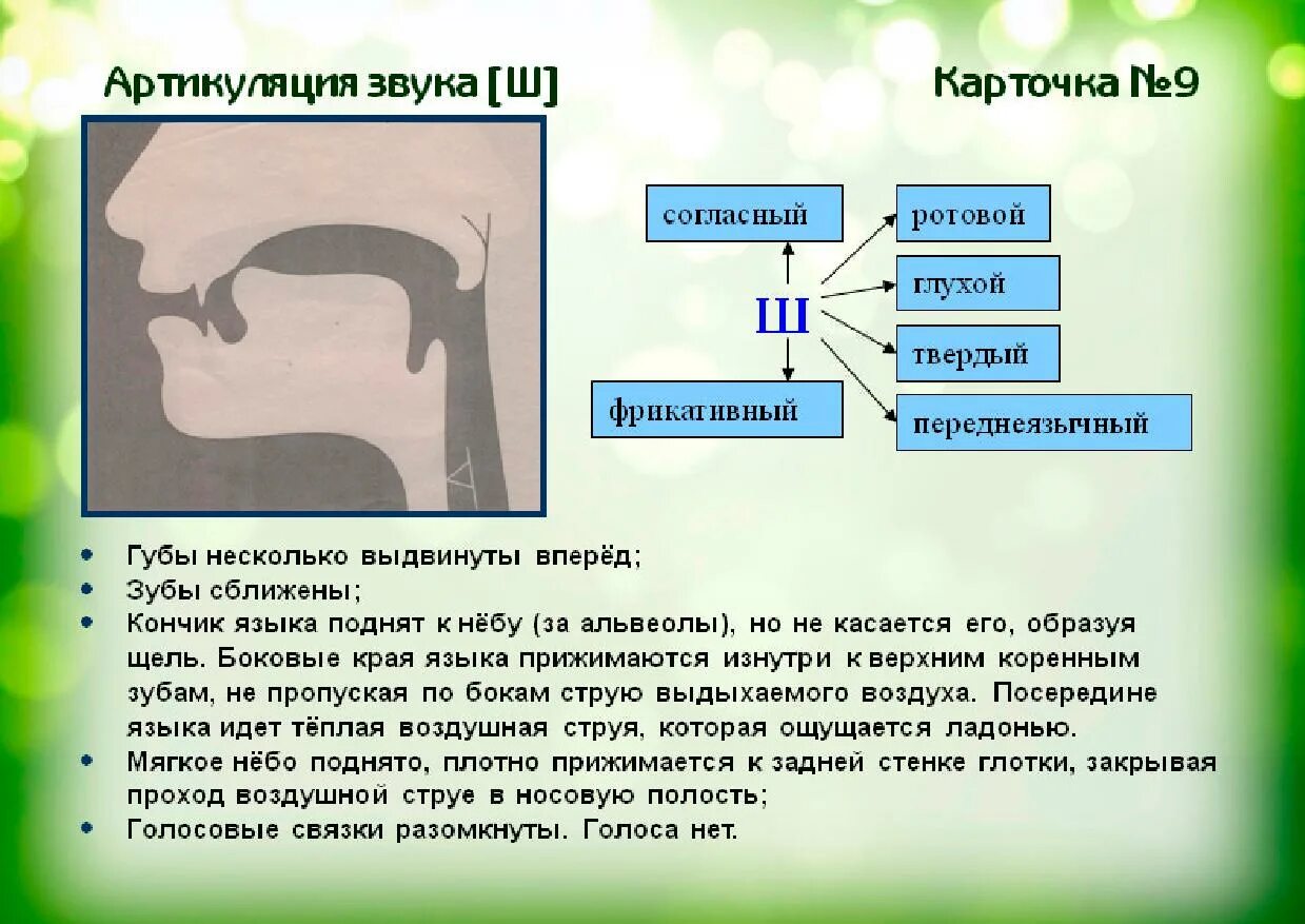 Виды артикуляции. Профиль артикуляции звука г. Профиль артикуляции звука х. Артикуляционный профиль звука с для детей. Артикуляция звука с описание.