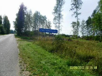 Погода густомесово
