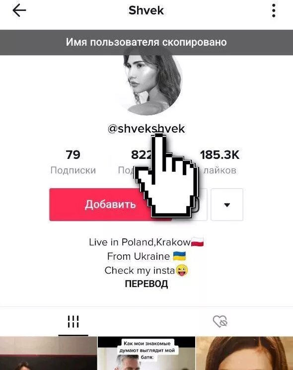 Что такое 1488 в тик токе. ID В тик токе. Идентификатор в тик ток. Имя пользователя. Имя пользователя в тик ток.