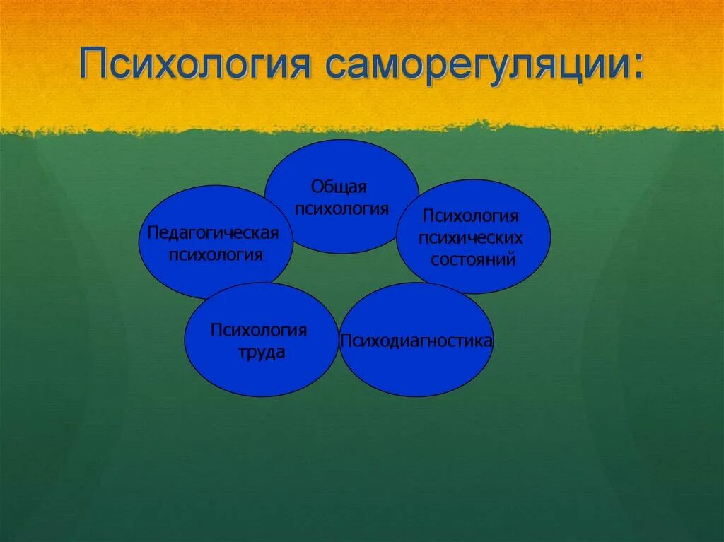 Саморегуляции и межличностного общения. Саморегуляция в психологии. методы саморегуляции. основы психологической саморегуляции. психология педагогической саморегуляции.
