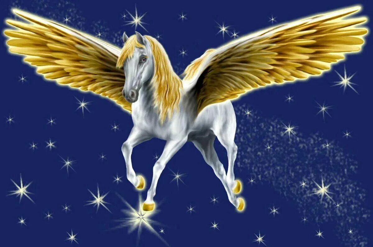 Кто является отцом пегаса. Крылатый конь Пегас. Единорог с крыльями. Сказочные лошади. Лошадь с крыльями.