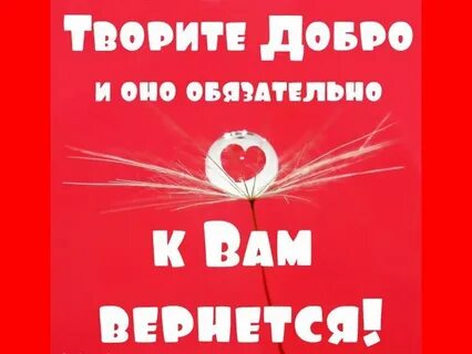 Добро отбиться