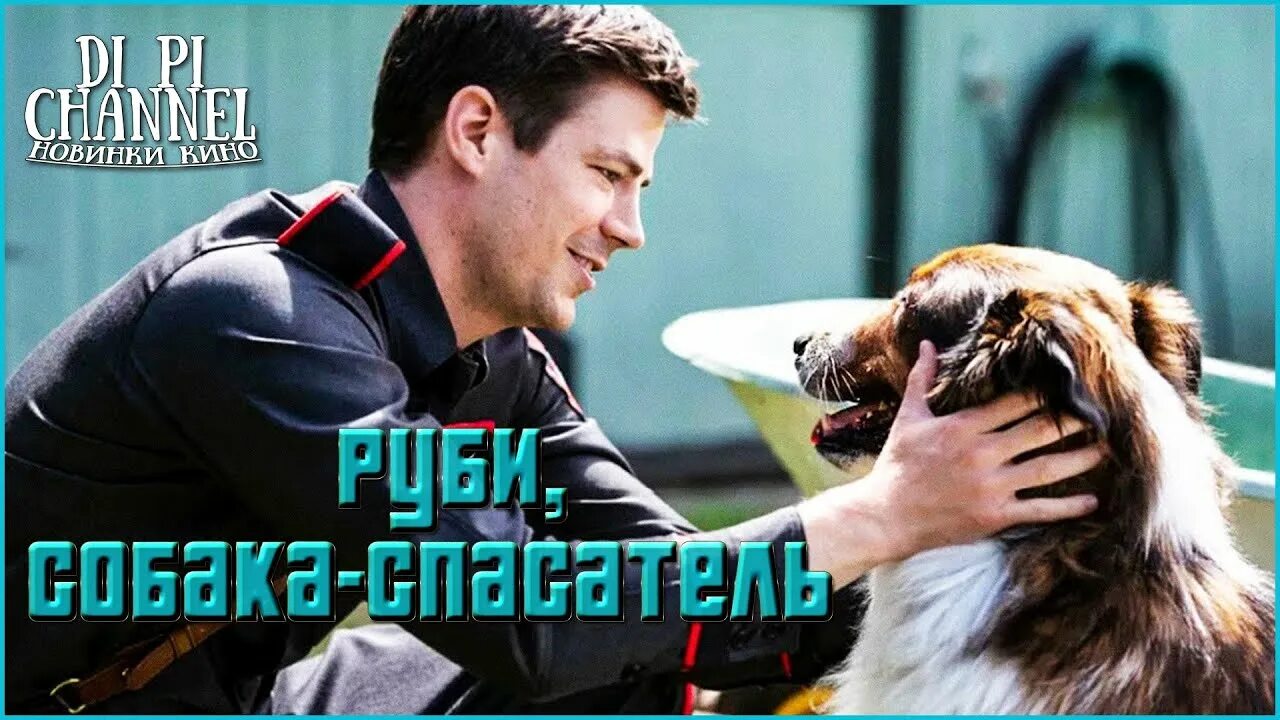 Собака спасатель 2025. Руби, собака-спасатель фильм 2025. руби собака спасатель. собака спасатель фильм 2019. руби собака-спасатель фильм 2025 постер.