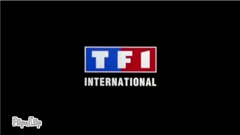 1 1 international