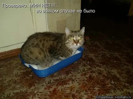 Во всяком случае без