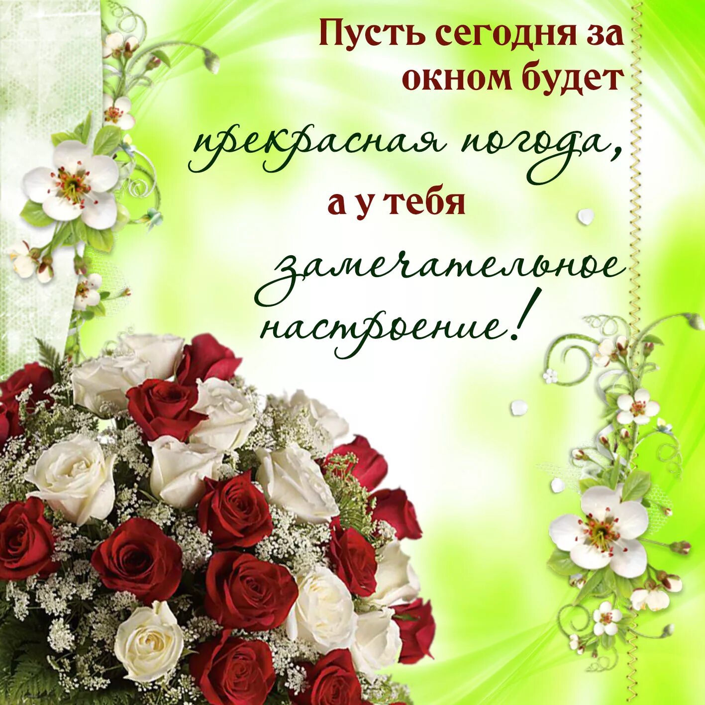 Солнечного дня пожелания. Солнечного дня и хорошего настроения. Сегодня была замечательная погода. Сегодня была замечательная погода. Цветы абрикоса.