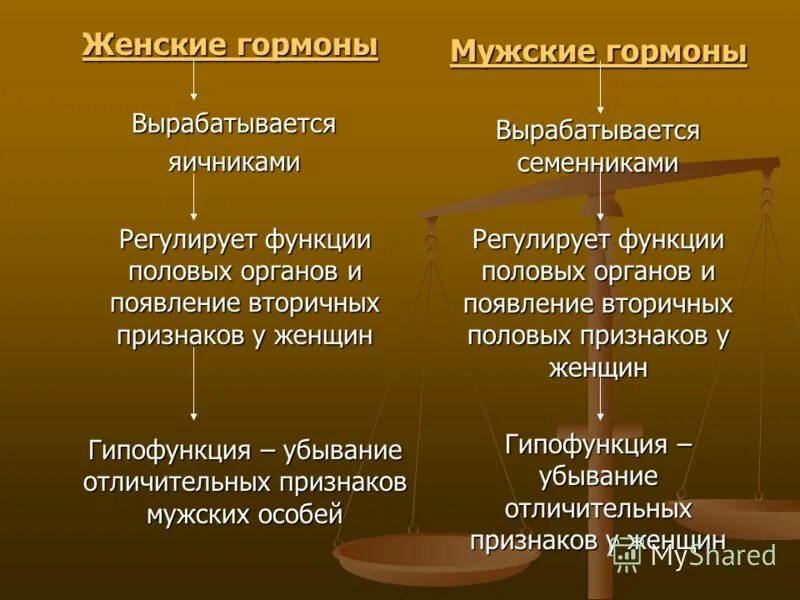 Женские гормоны. Мужские и женские гормоны. Мужские и женские гормоны для презентации. Половые гормоны мужчины характерны. Гормоны женских органов