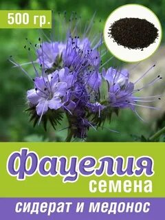 Валберис фацелия