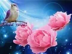С р сђрѕ рџ