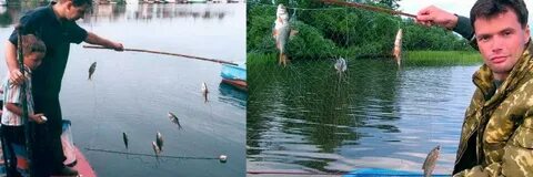 Можно ли ловить рыбу экраном