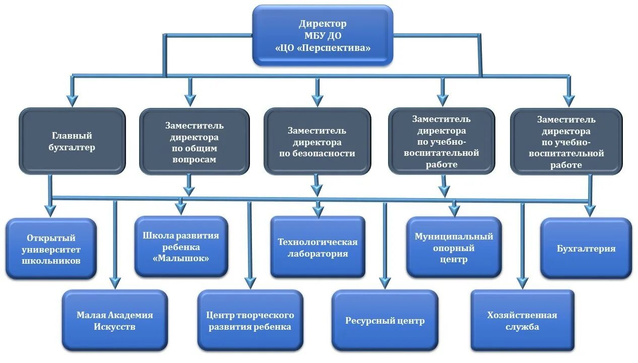 Управление муниципальным бюджетным учреждением. Отдел закупок отеля. Мбу до пилигрим. Положение об органах управления муниципальным бюджетным учреждением. Структура органов управления спортивной школы схема.